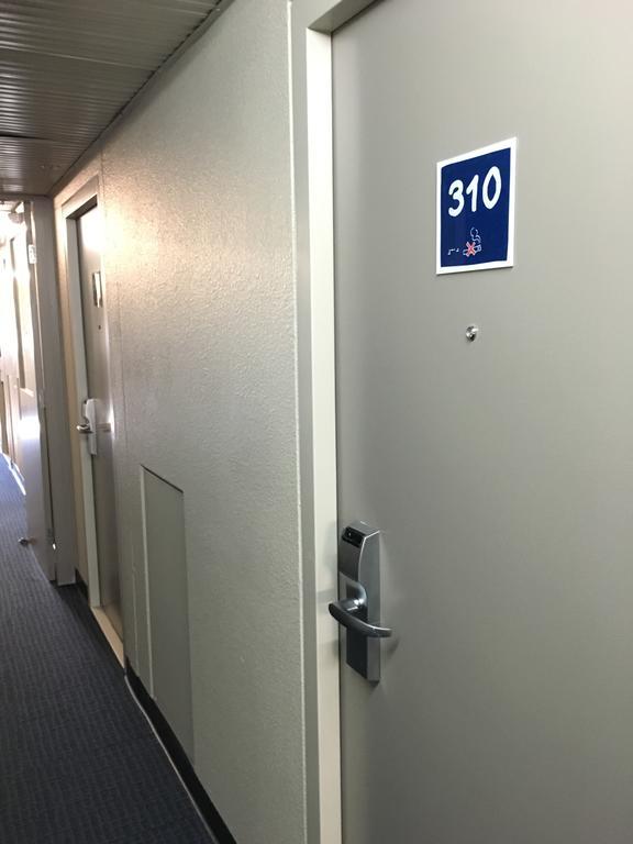 Ibis Budget - Enfield Sydney Eksteriør bilde
